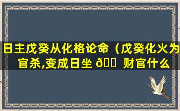 日主戊癸从化格论命（戊癸化火为官杀,变成日坐 🐠 财官什么 🕊 意思）